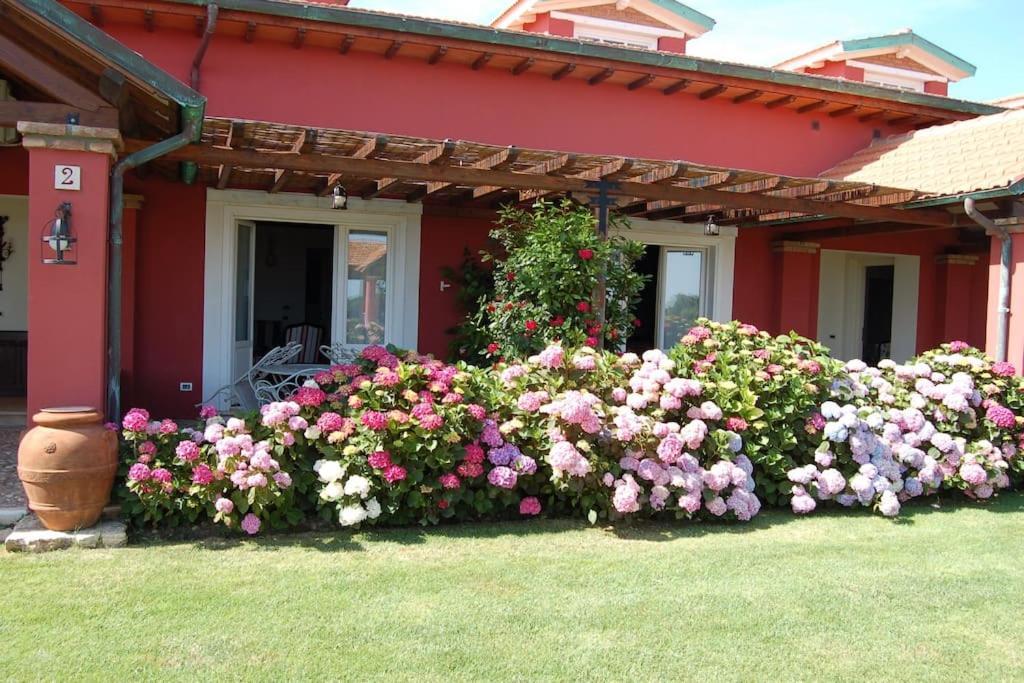 La Pecora Ladra Appartamenti Montalto di Castro Luaran gambar