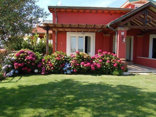 La Pecora Ladra Appartamenti Montalto di Castro Luaran gambar