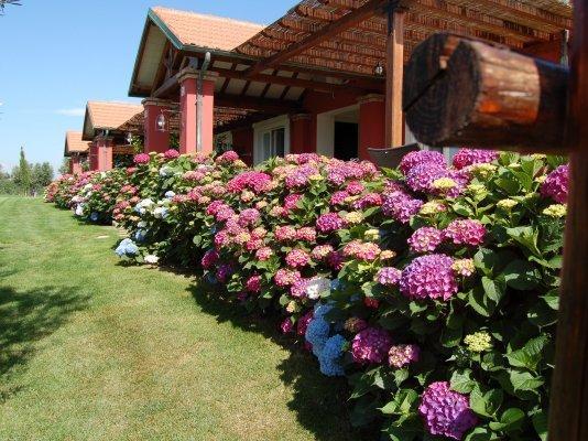La Pecora Ladra Appartamenti Montalto di Castro Bilik gambar